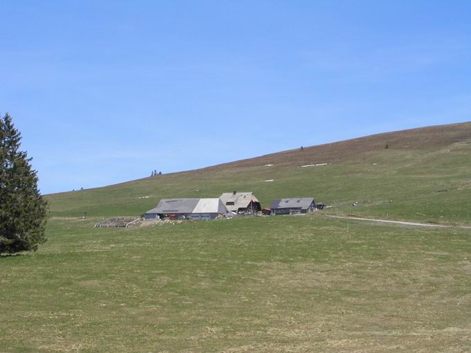 Gemeinde Feldberg im Schwarzwald