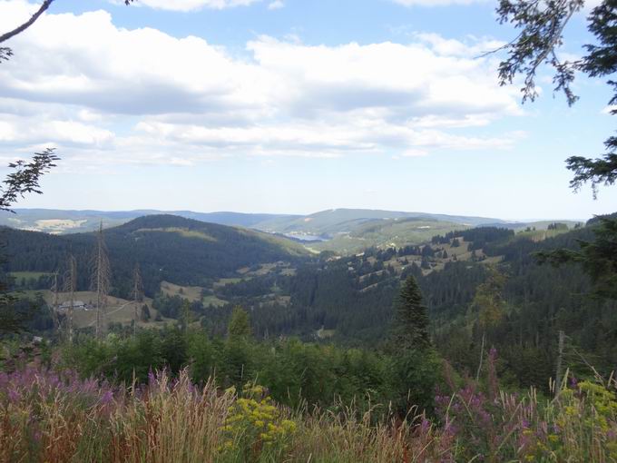 Seebachtal Feldberg