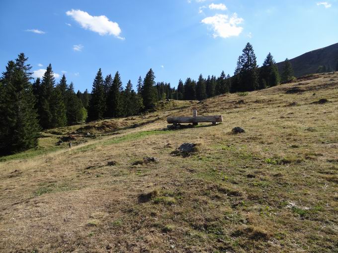 Wegweiser Sgebachdobel oben 1319 m: Brunnen