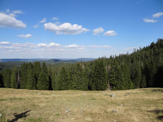 Wegweiser Sgebachdobel oben 1319 m: Ostblick