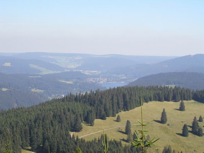 Gemeinde Feldberg im Schwarzwald