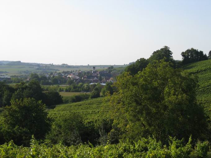 Fischingen