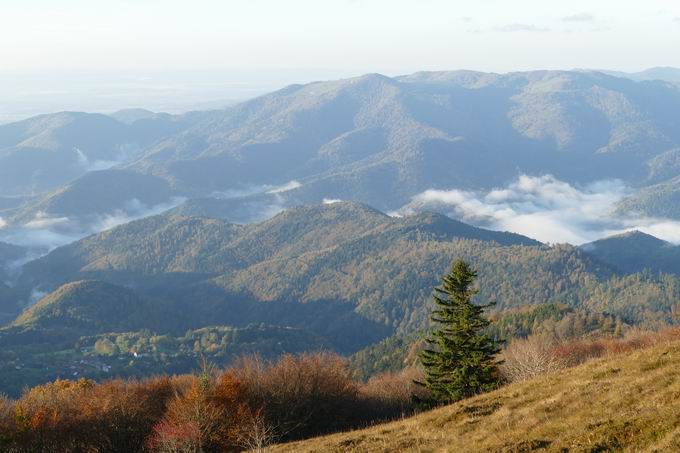 Groer Belchen: Sdblick