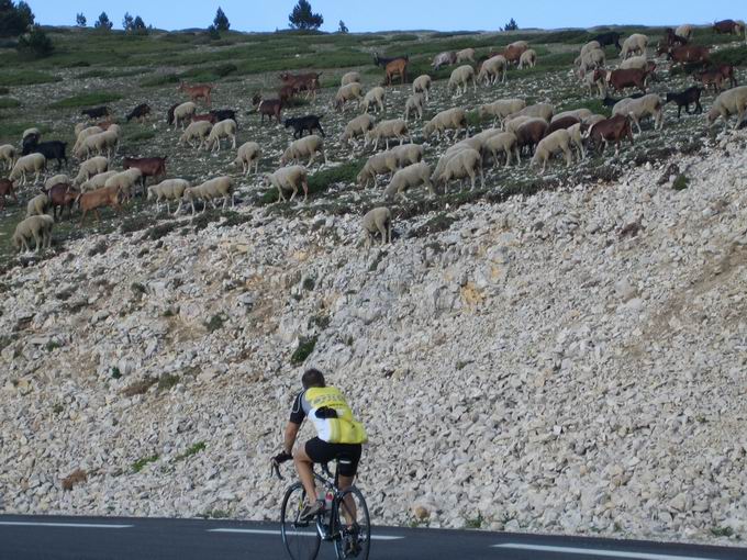 Mont Ventoux: Hobby-Radsportler