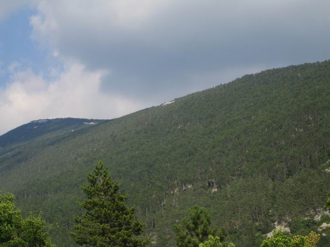 Mont Ventoux: Waldgebiet im unteren Bereich