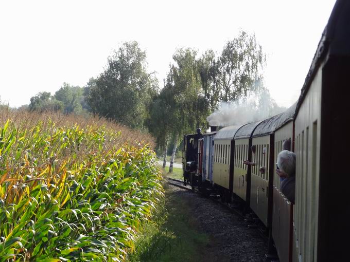 Touristeneisenbahn-Elsass