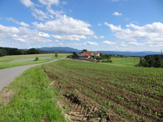 Freiamt im mittleren Schwarzwald