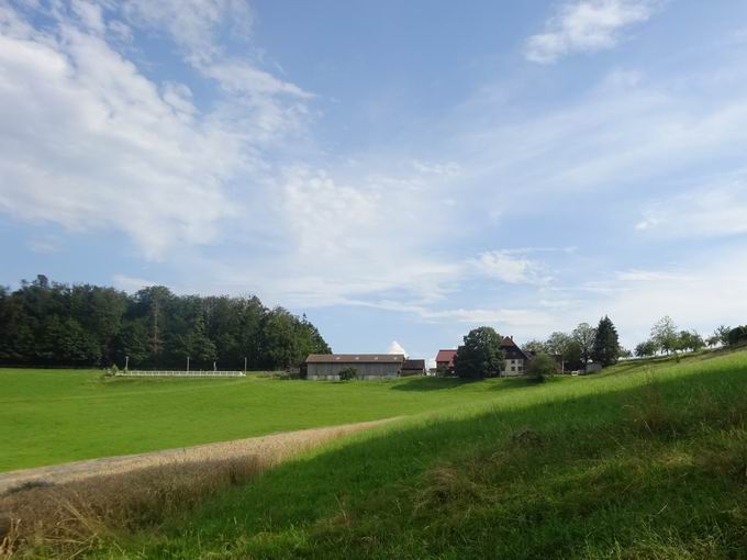 s`Kelbliandrese Pferdepension s`Kelbliandrese Pferdepension