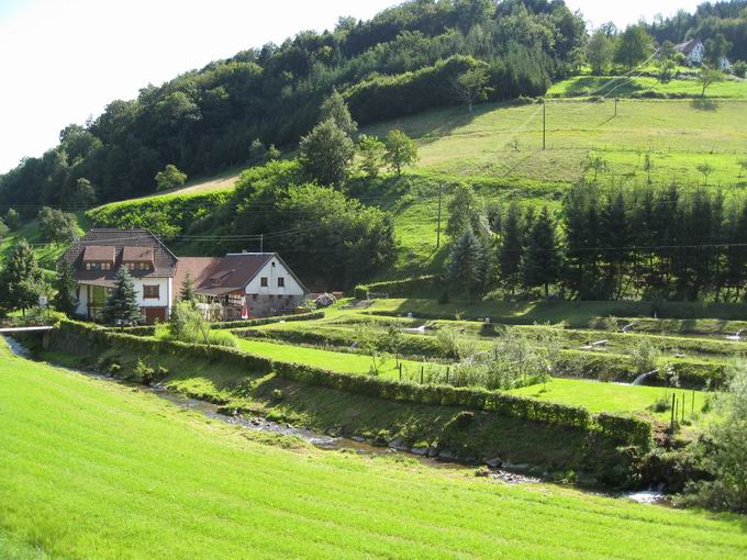 Forellenstble bei Freiamt