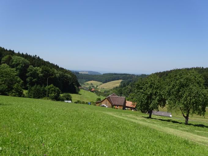 Waldhutsbachtal