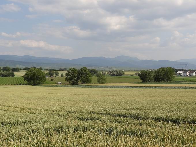 Acht Jauchert: Blick Belchen