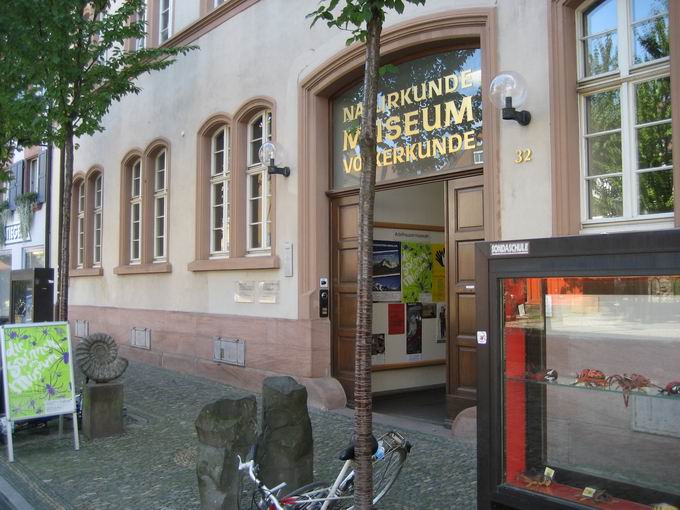 Museum fr Naturkunde (Adelhausermuseum)