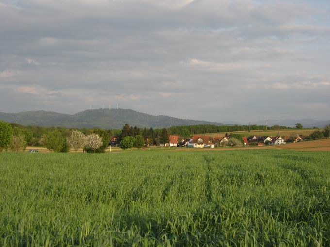 Rosskopf bei Freiburg