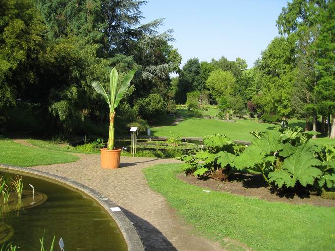 Botanischer Garten Freiburg Wiese