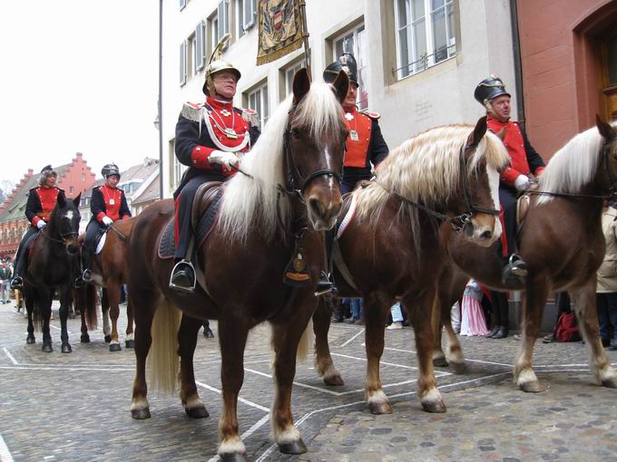 Reitercorps Breisgauer Narrenzunft