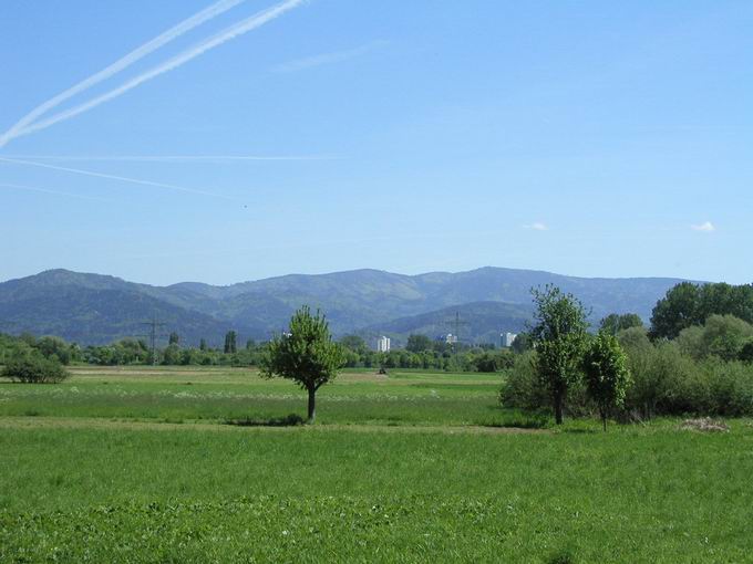 Dietenbachniederung Freiburg: Blick Schauinsland