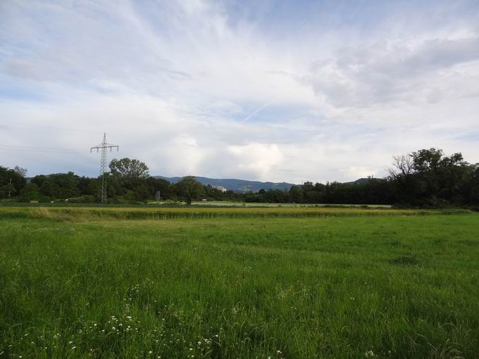 Dietenbachniederung Freiburg: Sdblick