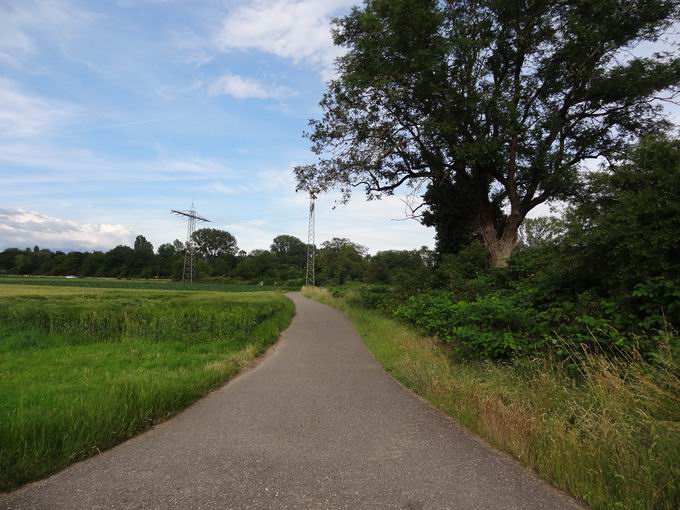 Untere Ksere Dietenbachniederung: Blick Becanconallee