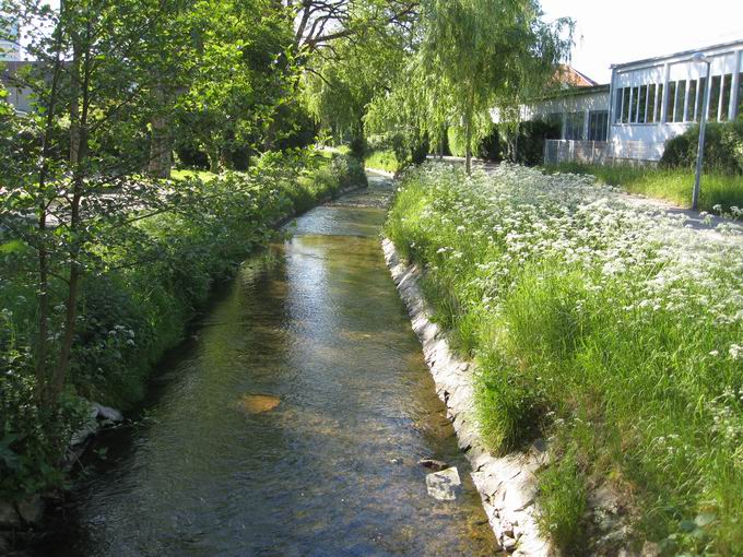 Freiburg Haslach