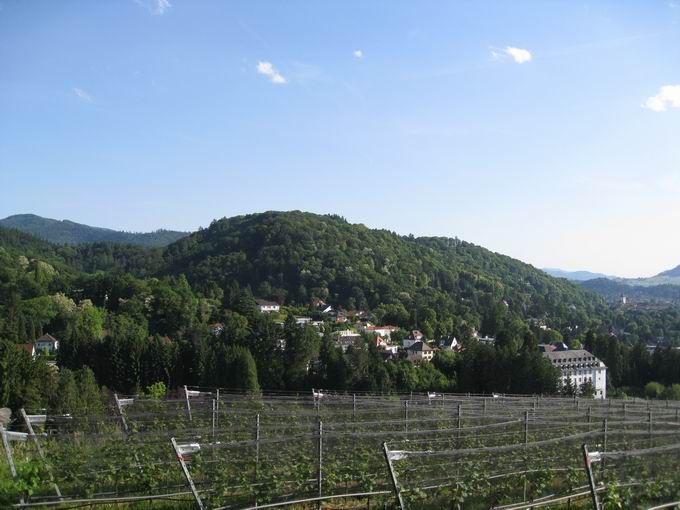 Eichhalde Blick Schlossberg