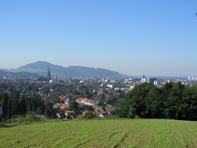 Eichhalde Wiese: Blick Schönberg