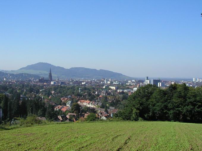 Eichhalde Wiese: Blick Schnberg