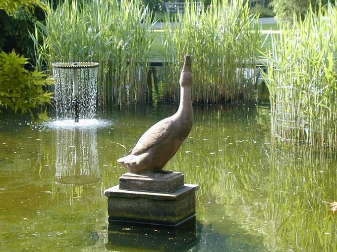 Erpel Stadtgarten Freiburg