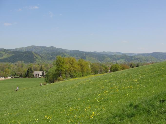 Erzwscherei Freiburg Kappel