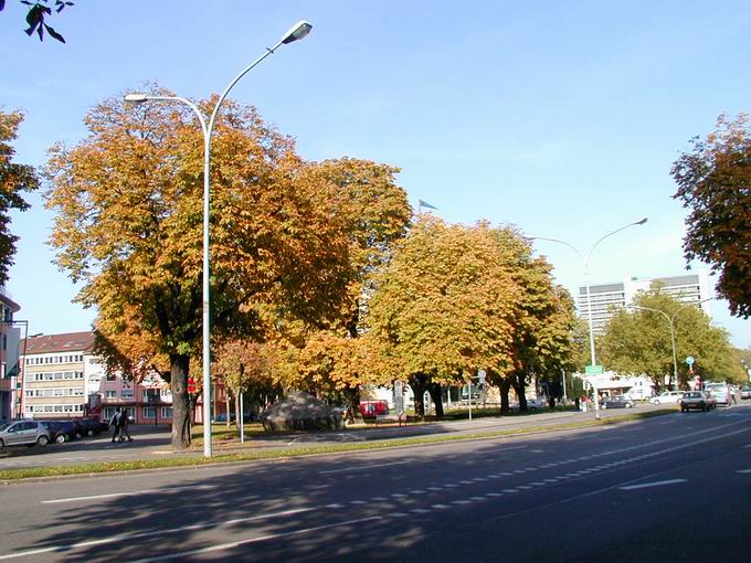 Altstadt Freiburg Bilder