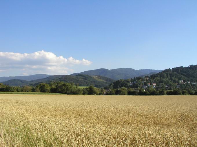 Freiburg Ebnet: Blick Kapplertal