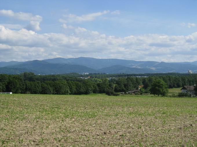 Freiburg-Hochdorf: Blick Schauinsland