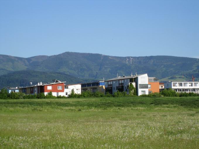 Rieselfeld Freiburg: Blick Schauinsland