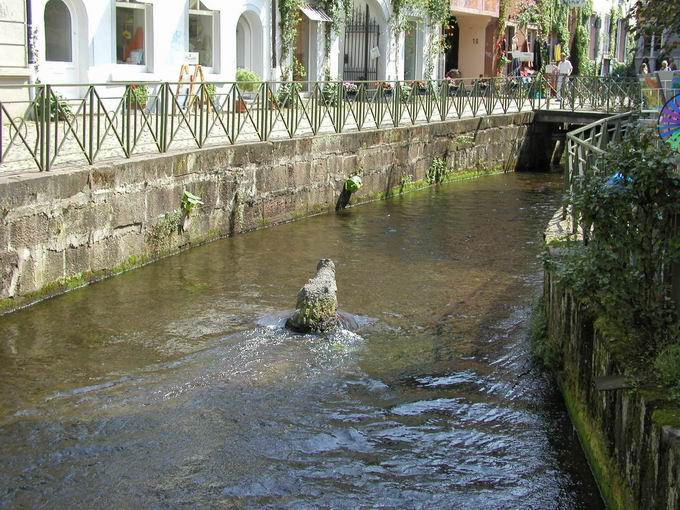 Krokodil Gewerbekanal Freiburg