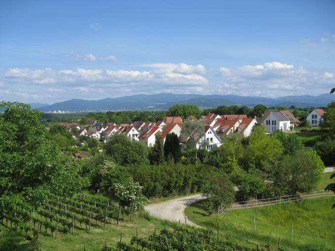 Giesental Waltershofen