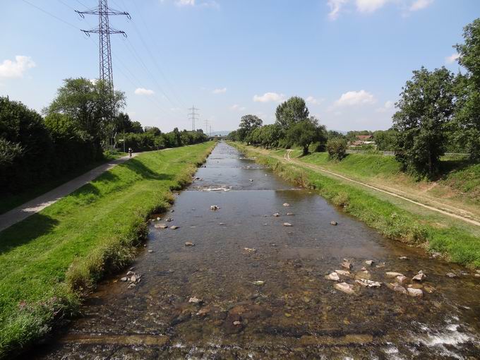 Gterbahnbrcke Dreisam: Westblick