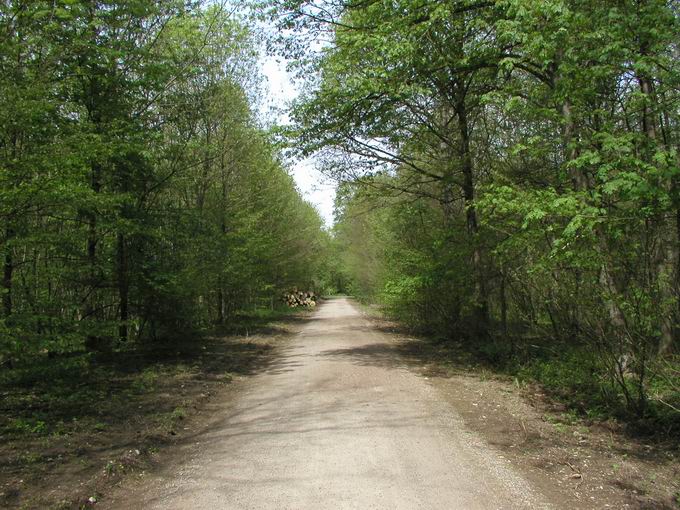 Hochdorfer Wald