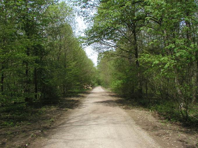 Freiburg Hochdorf