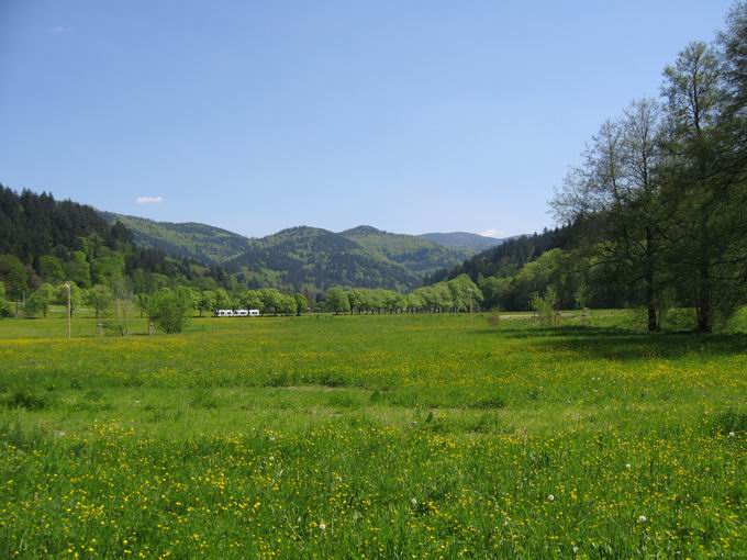 Regenwasserrckhaltung Breitmatte