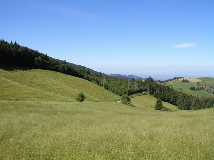 Holzschlgermatte