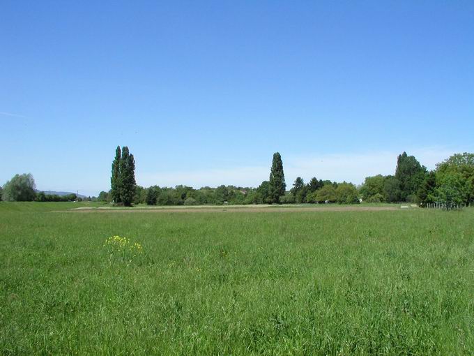 Im Zinklern Freiburg: Blick Dreisamdamm