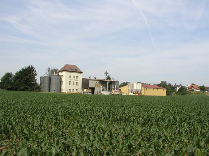 Tiengen am Tuniberg