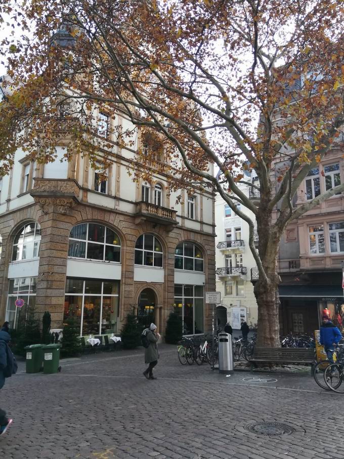 Kaiser-Joseph-Straße Freiburg: Haus 241 Kaiser-Joseph-Straße Freiburg: Haus 241