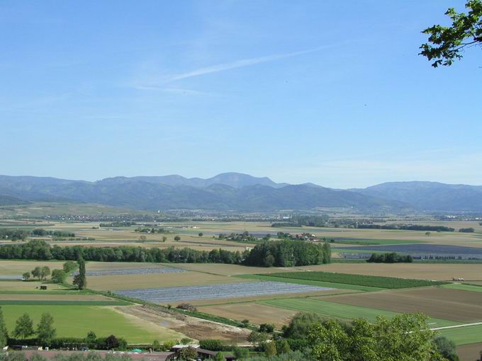 Kapellenberg Munzingen: Blick Belchen