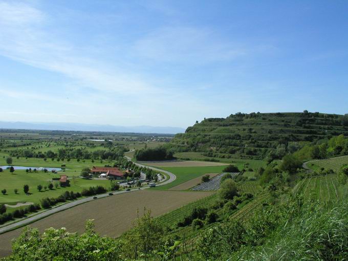 Kapellenberg Munzingen: Blick Kreisstrae 9864