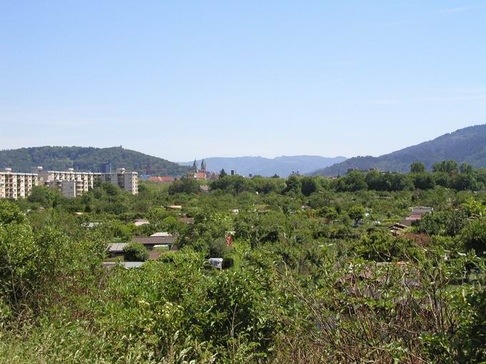 Kleingartenanlage Untermetzgergrn Freiburg