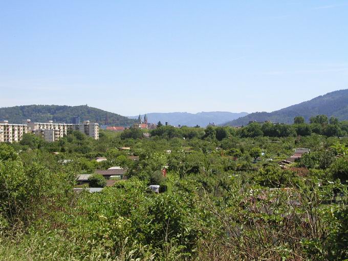 Kleingartenanlage Untermetzgergrn Freiburg