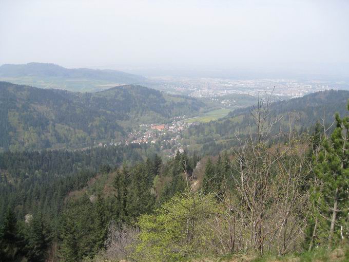 Kybfelsen: Blick Gnterstal