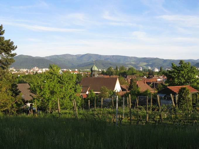 Freiburg im Breisgau