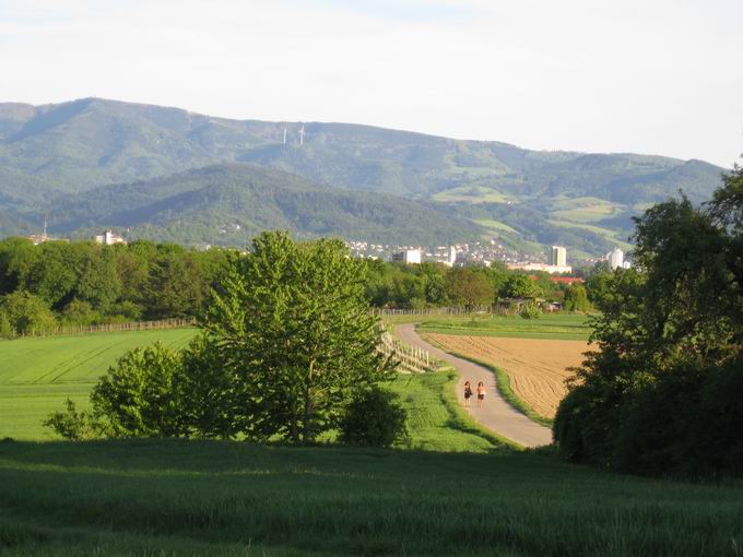 Lehener Bergle: Blick obere Kirchbergstrae