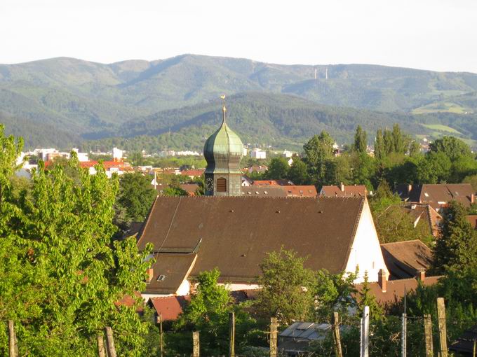 Lehener Bergle: Blick Kirchturm St. Cyriak